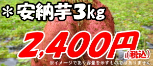 ��Ǽ�򡡣���硡2400��