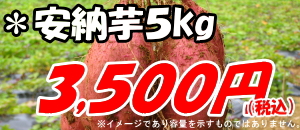 ��Ǽ�򡡣���硡3500��