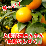 ���軺�ⴻ�ʤ��󤫤�ˤ��Τޤޤ������夬�ꤤ�������ޤ�
